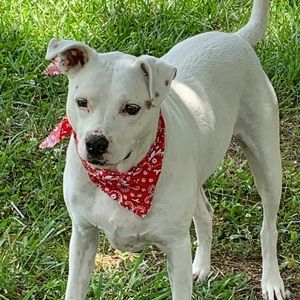 Meet your Posher, Shana